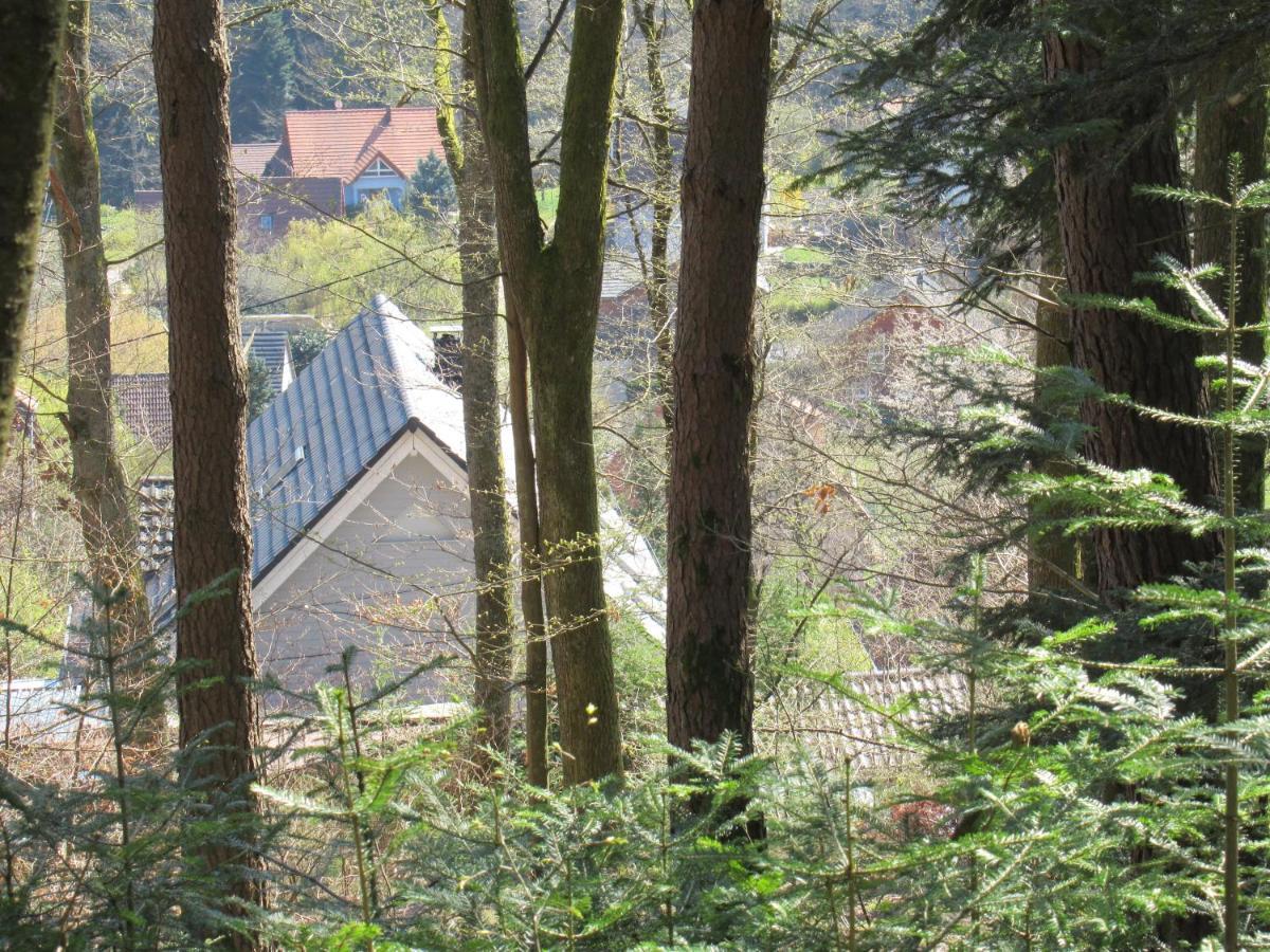 Le Clos D'Aure. Oberhaslach Εξωτερικό φωτογραφία