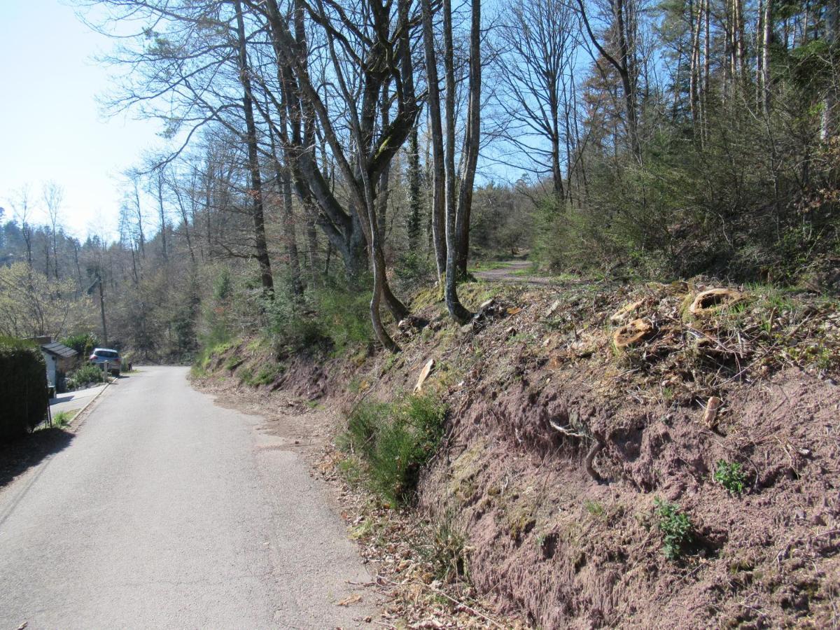 Le Clos D'Aure. Oberhaslach Εξωτερικό φωτογραφία