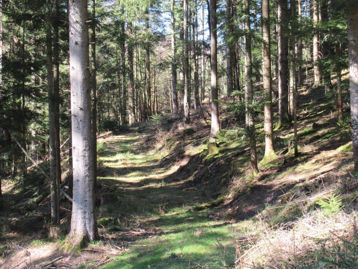 Le Clos D'Aure. Oberhaslach Εξωτερικό φωτογραφία