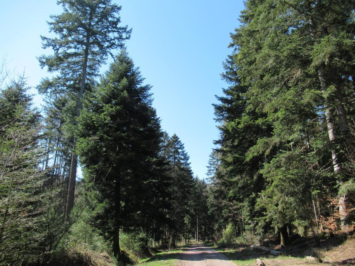 Le Clos D'Aure. Oberhaslach Εξωτερικό φωτογραφία