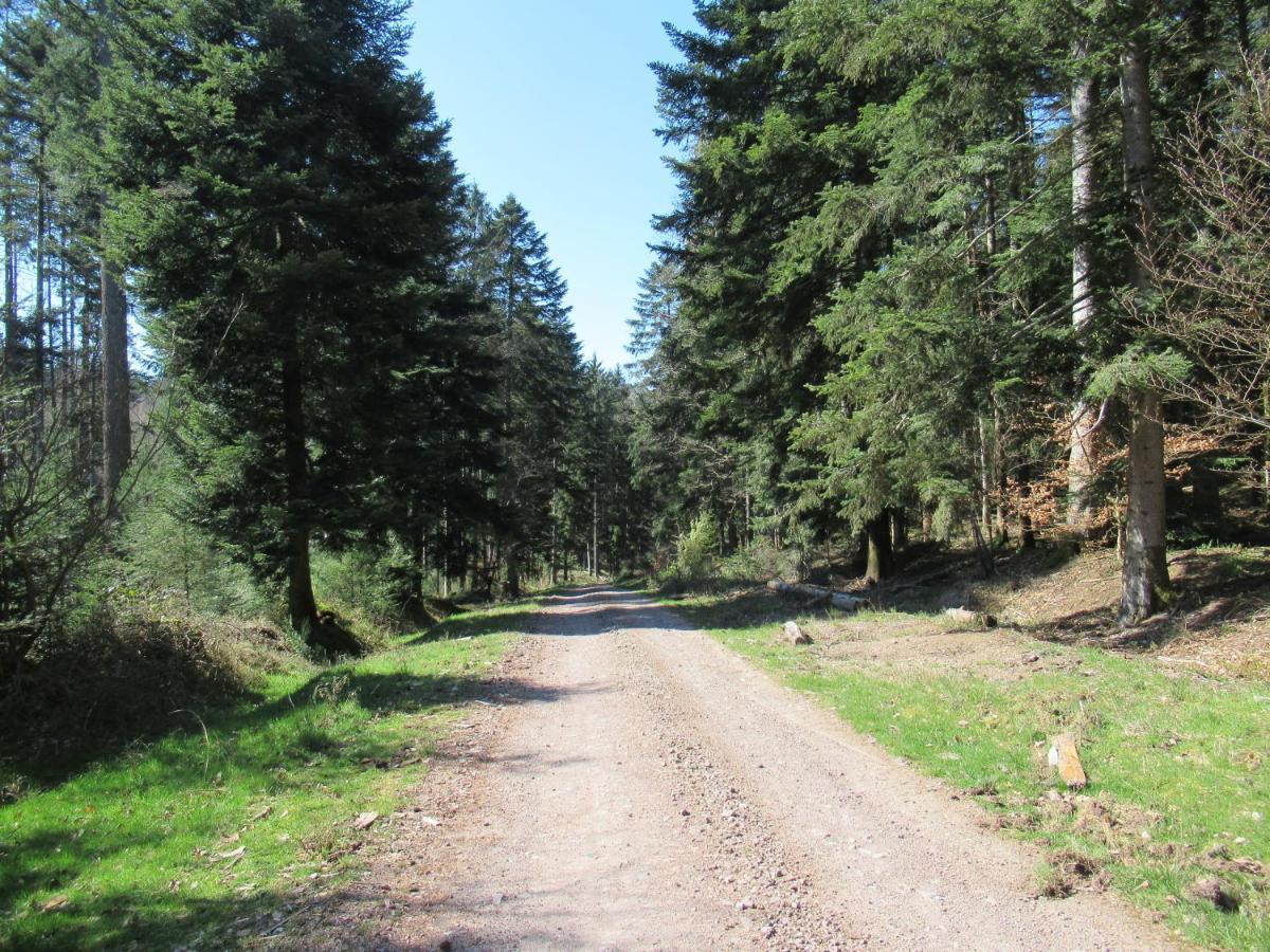 Le Clos D'Aure. Oberhaslach Εξωτερικό φωτογραφία