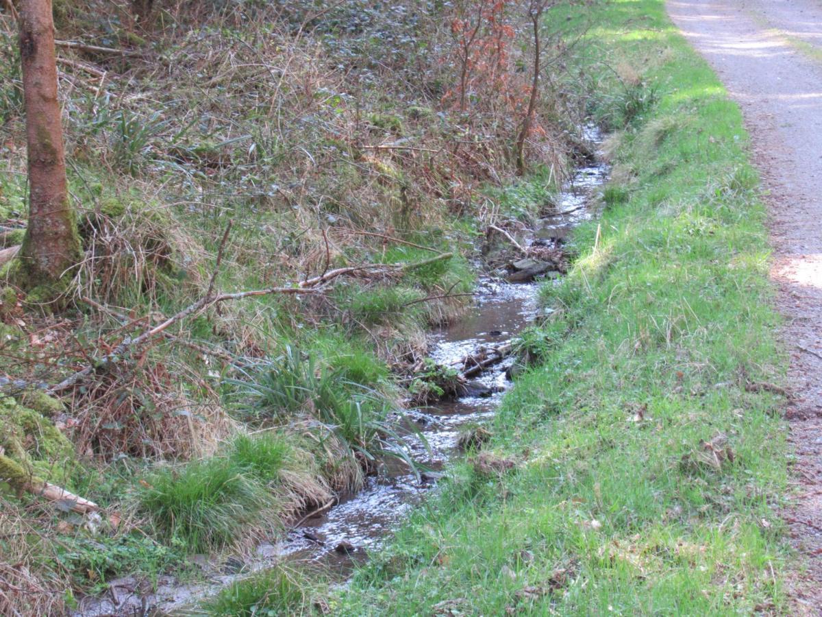 Le Clos D'Aure. Oberhaslach Εξωτερικό φωτογραφία