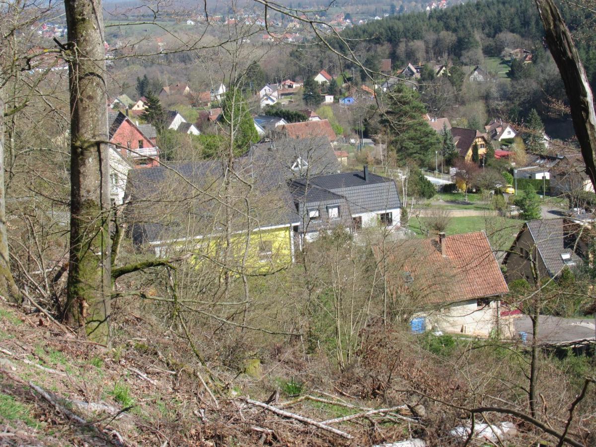 Le Clos D'Aure. Oberhaslach Εξωτερικό φωτογραφία