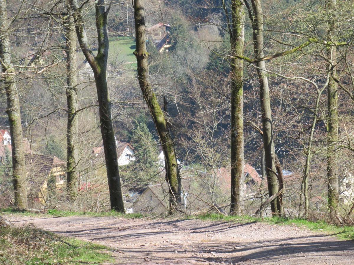 Le Clos D'Aure. Oberhaslach Εξωτερικό φωτογραφία
