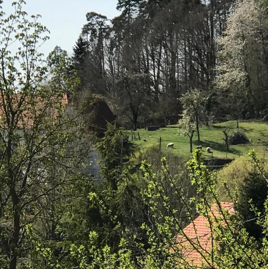 Le Clos D'Aure. Oberhaslach Εξωτερικό φωτογραφία